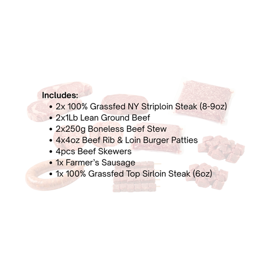 Sampler Bundle
