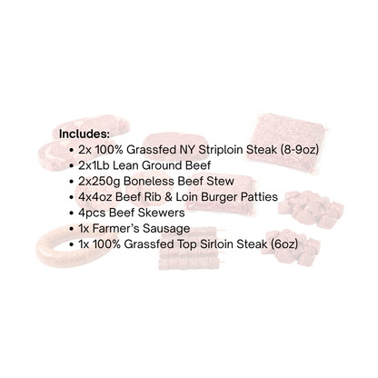 Sampler Bundle