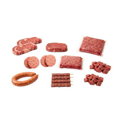 Sampler Bundle